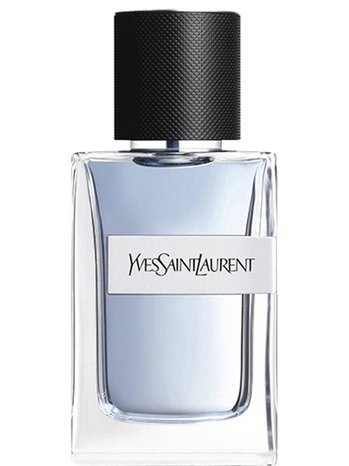 Yves Saint Laurent Y