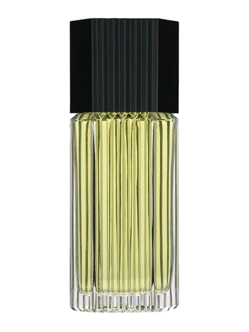 Estée Lauder Lauder for Men