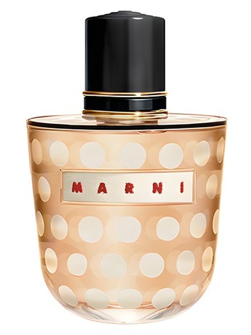 Comme des Garçons Dot