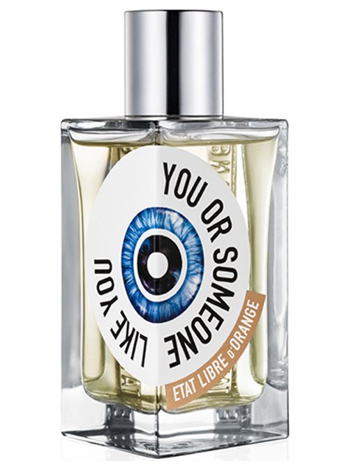 You Or Someone Like You