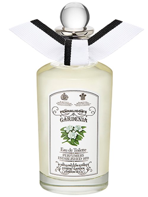 Gardenia