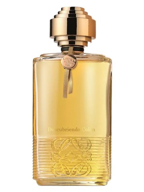 Loewe Solo Loewe Platinum