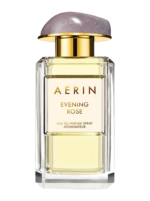 Aerin Evening Rose