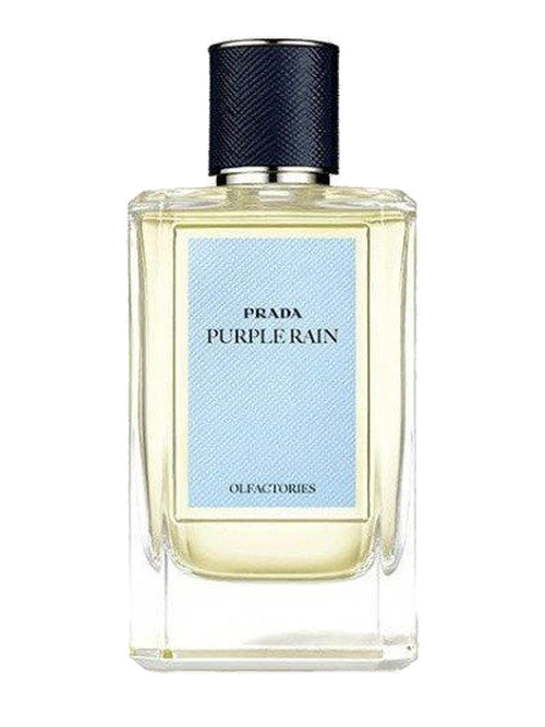 Prada Purple Rain