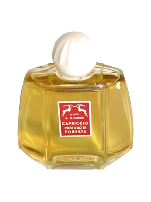 Santa Maria Novella Foresta