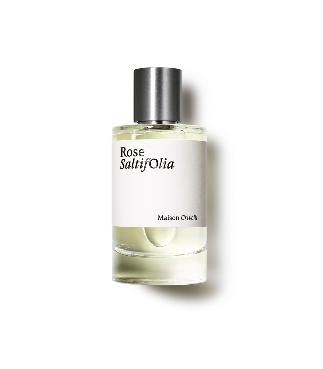 Maison Crivelli Rose Saltifolia