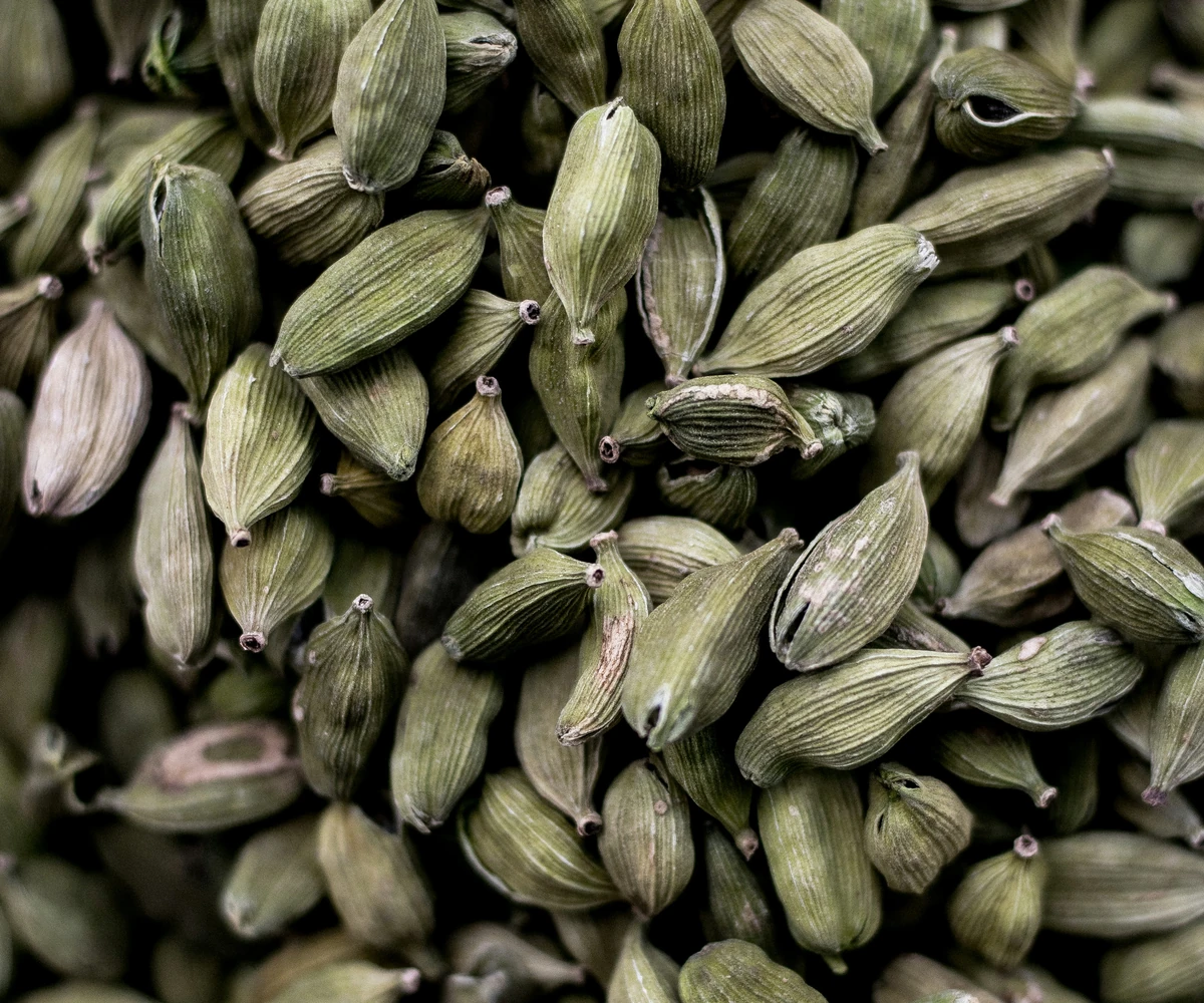 Cardamome